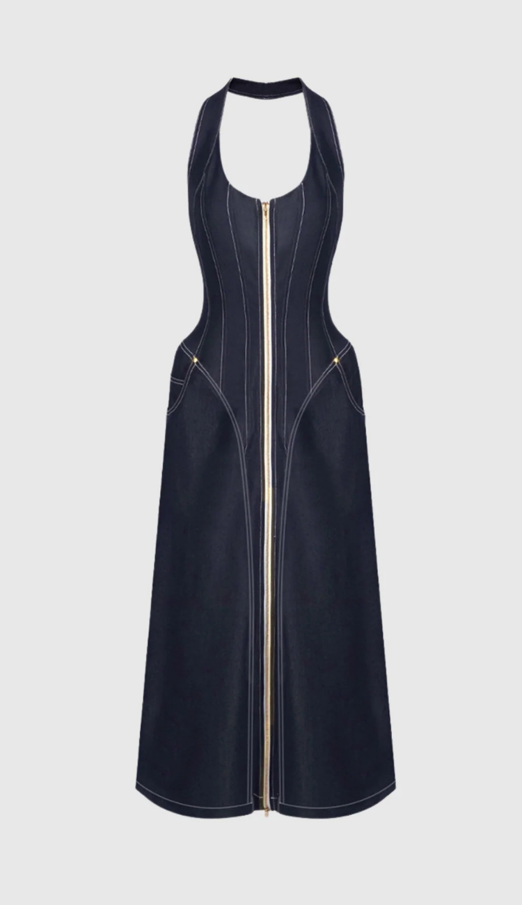 Alek Denim Zipper Maxi Dress