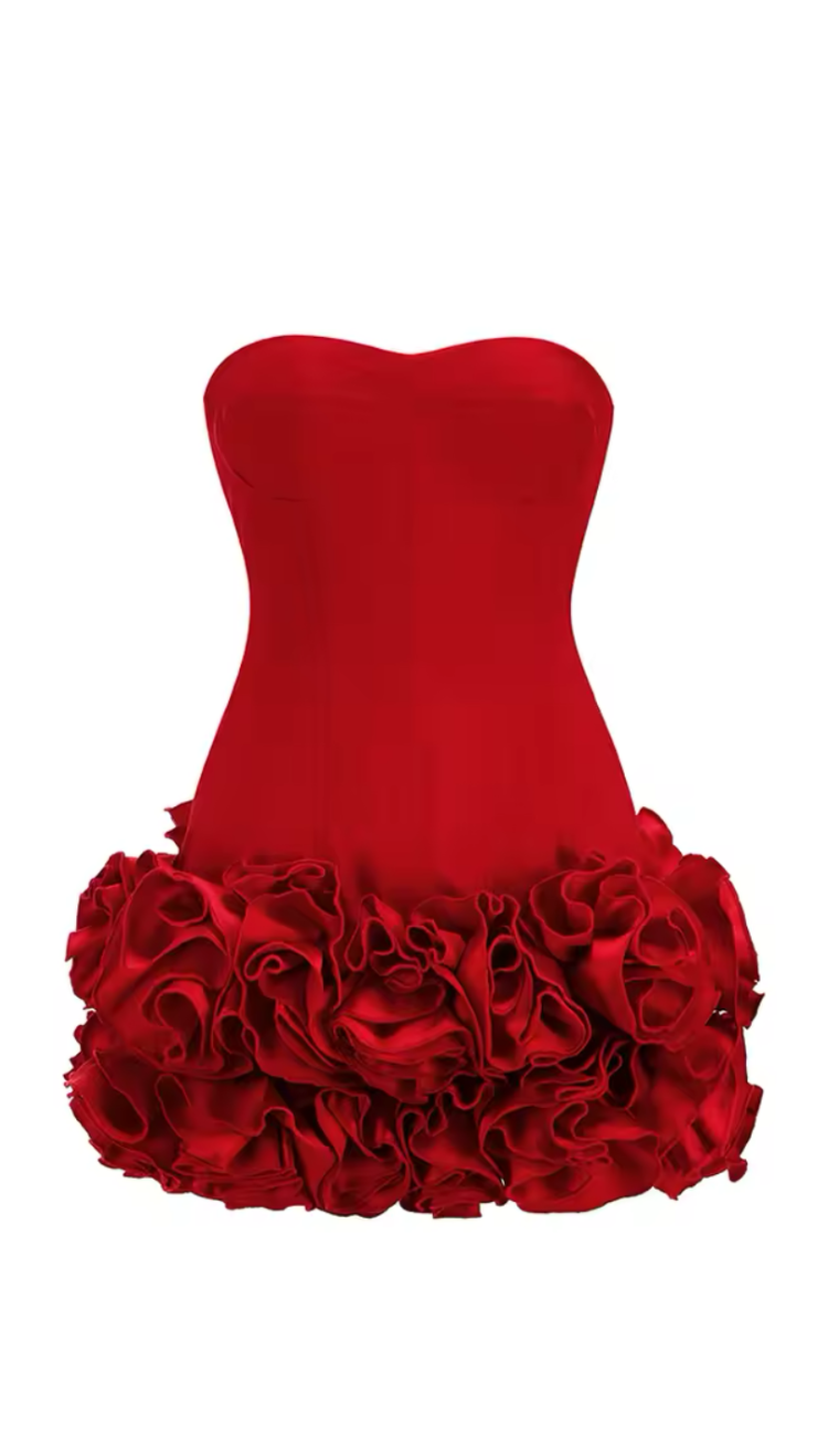 Shaio 3D Roses Red Applique Mini Dress