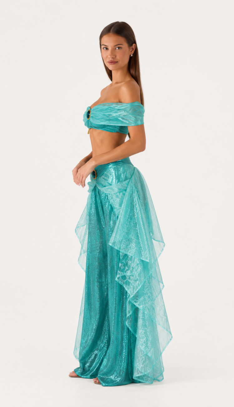 Princess Jasmine costume