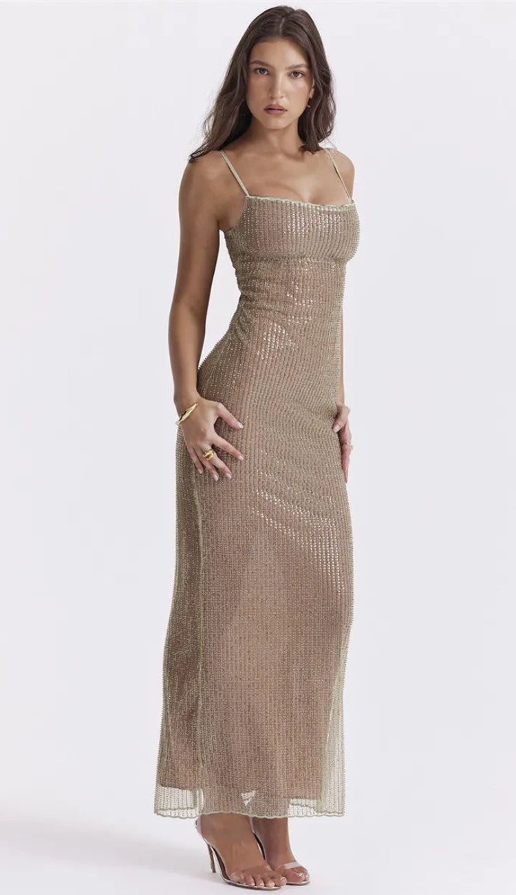 Jessi Sequin Maxi Dress