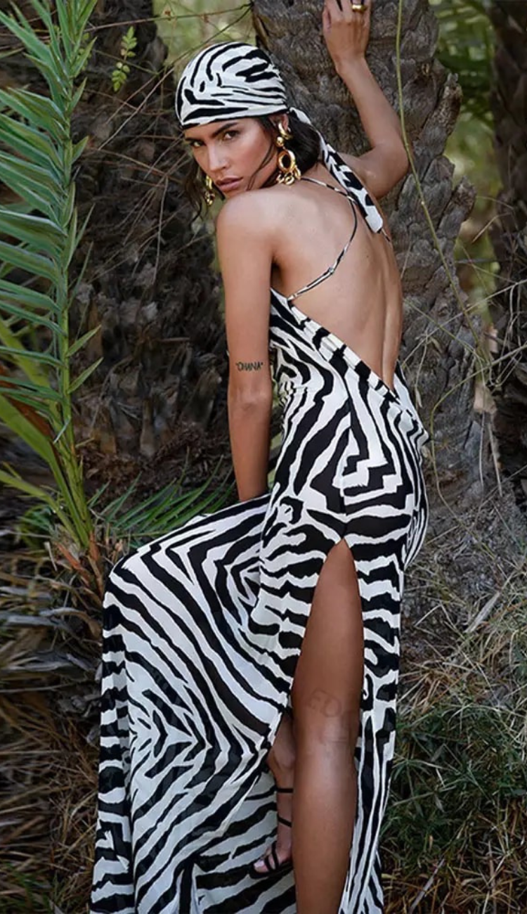 Selvatica Zebra Dress