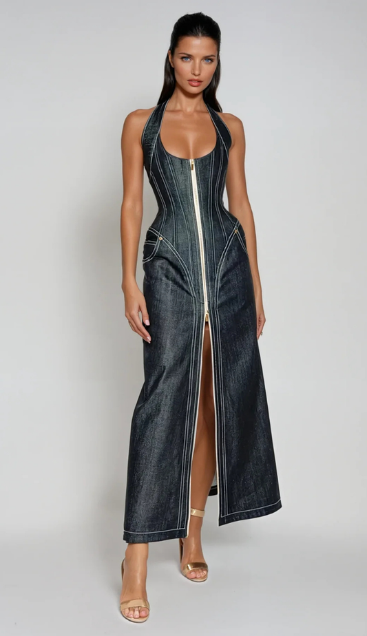Alek Denim Zipper Maxi Dress