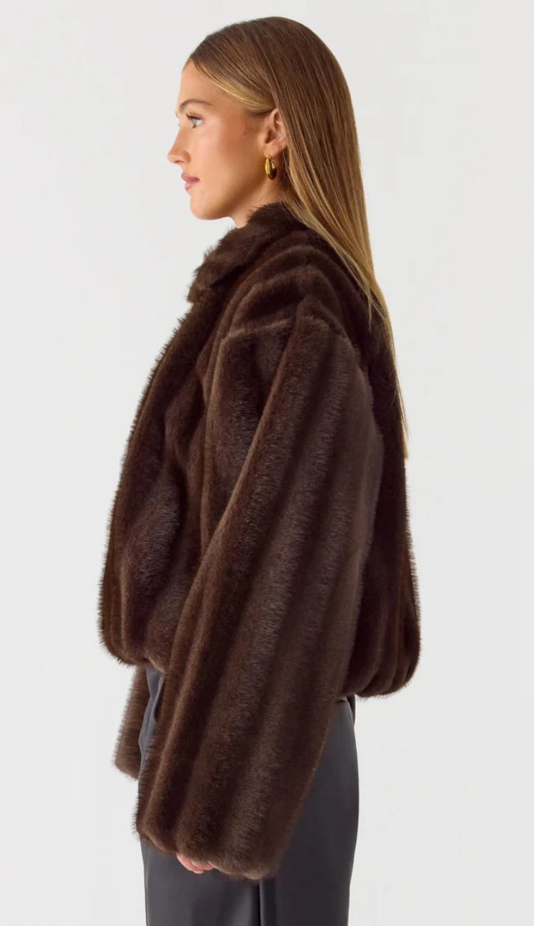 Nylla Faux Fur Brown Jacket