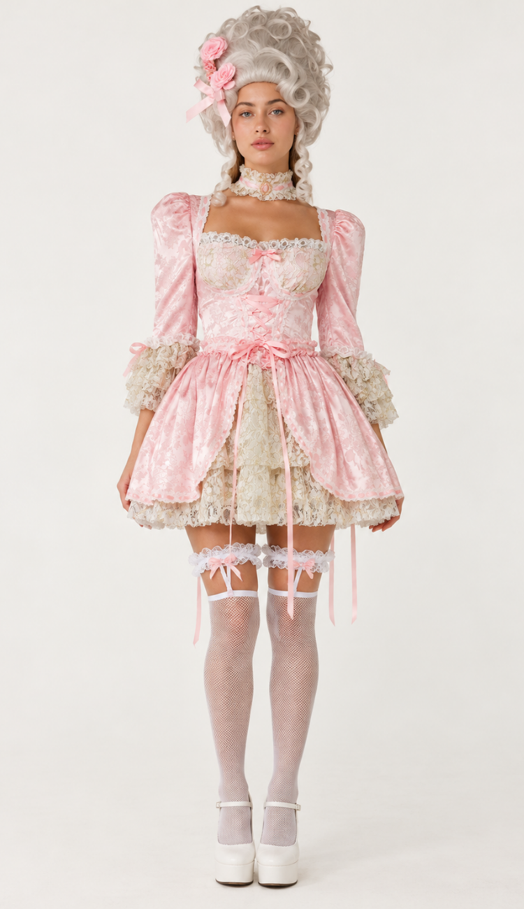 Let Them Eat Cake Costume