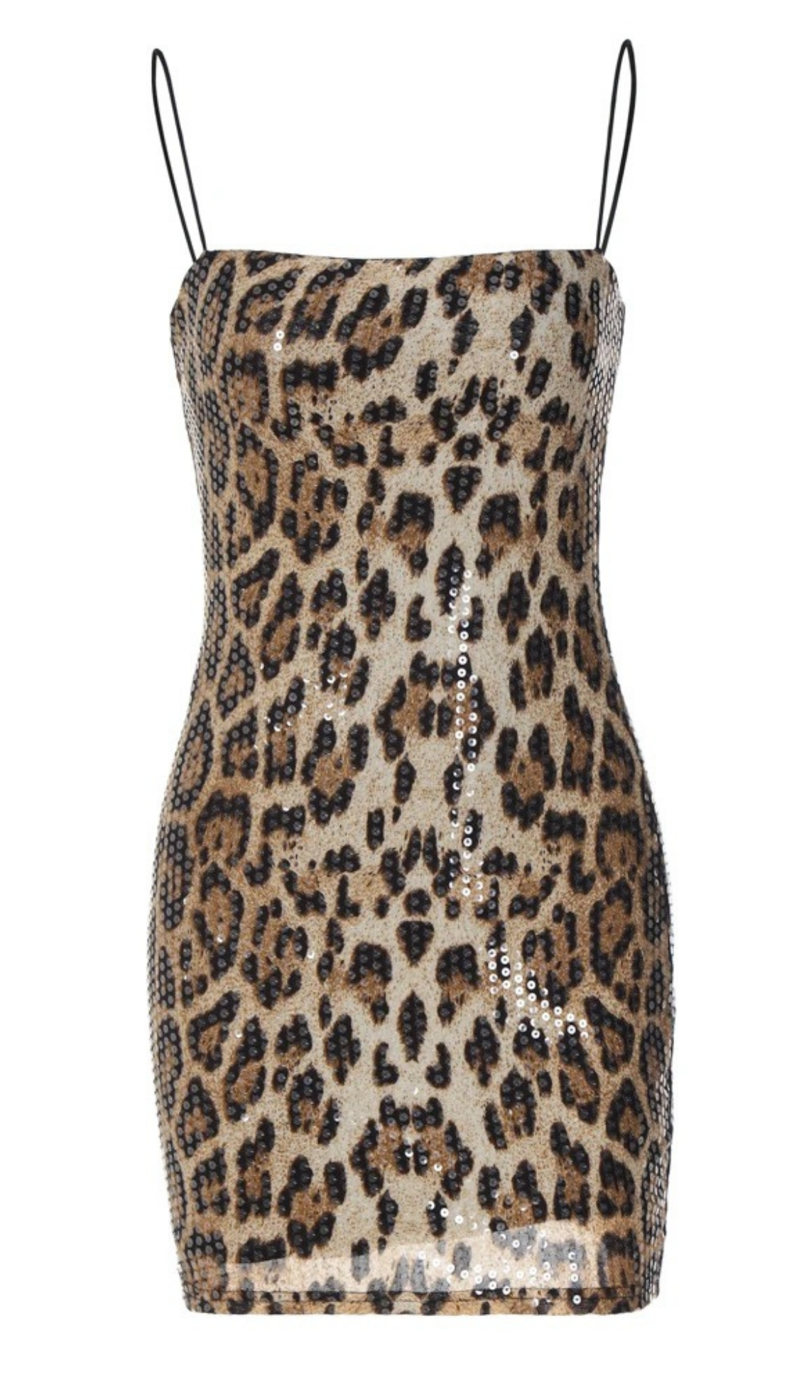 Yasmeen Leopard Mini Dress