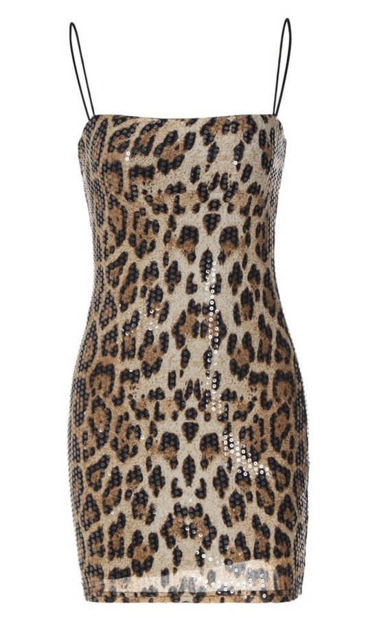 Yasmeen Leopard Mini Dress